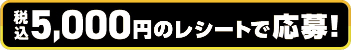税込5,000円のレシートで応募!