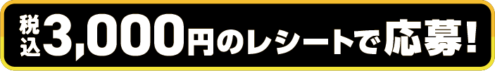 税込3,000円のレシートで応募!