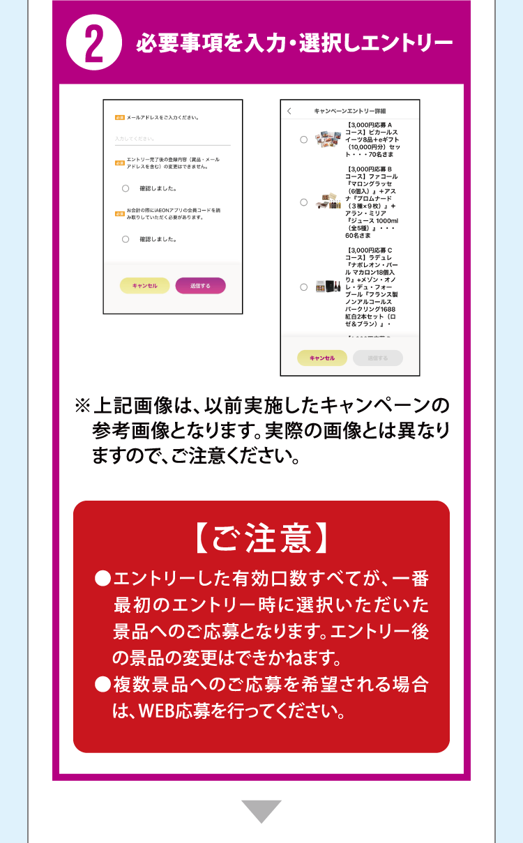 2 必要事項を入力・選択しエントリー