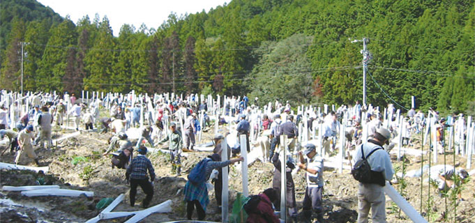 Tree-planting in Miyagawa Village (currently Odai Town) , Mie Prefecture 