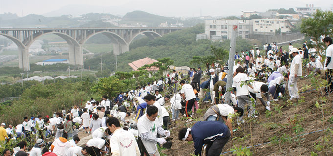 Okinawa Tree Planting