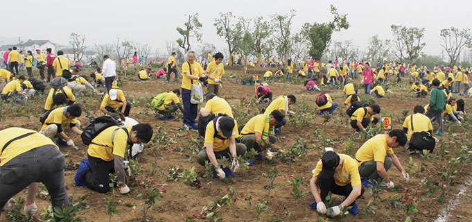 The planting of trees in Suzhou City, China