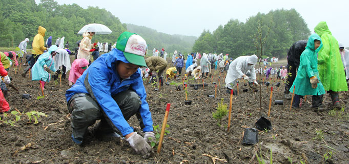 The planting of trees in Atsuma Town, Hokkaido