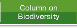 Column on Biodiversity