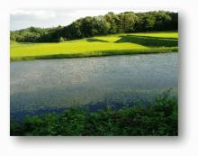 久保川イーハートーブ自然再生の対象地域のため池.jpgのサムネイル画像
