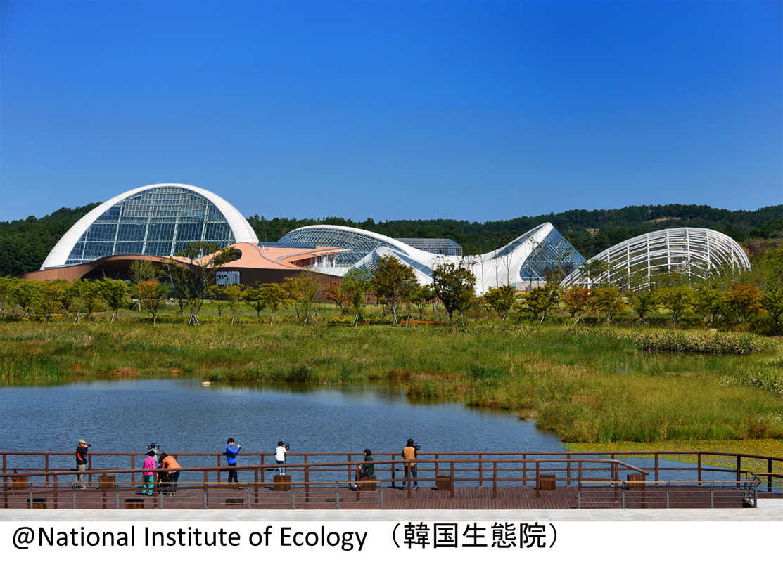 ؍ԉ@ National Institute of Ecology (Seocheon) 2