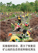 实施植树活动,愿为了恢复旧矿山地的生态系统和绿化再生
