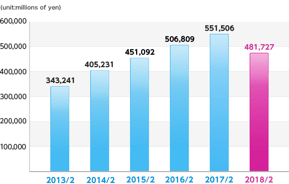 Capital Expenditure