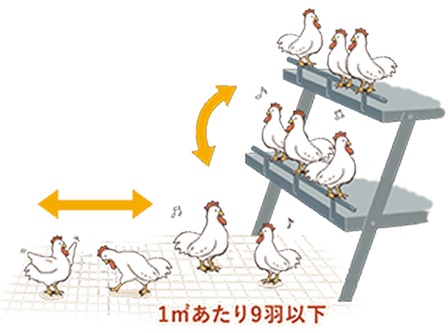 1㎡あたり9羽以下