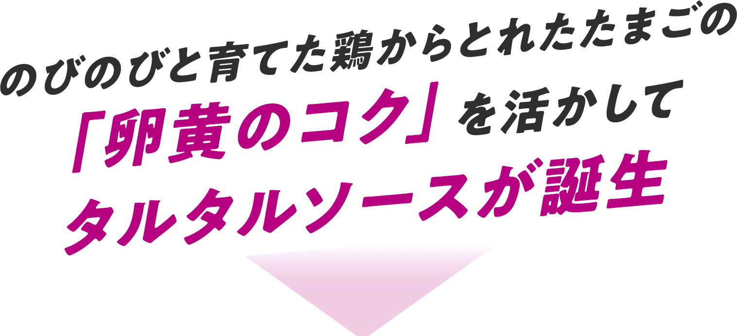 のびのびと育てた鶏から取れたたまごの「卵黄のコク」を活かしてタルタルソースが誕生