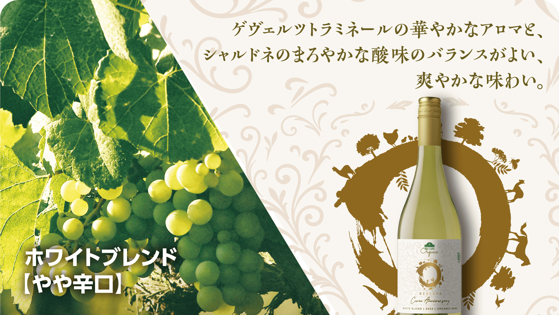 ゲヴェルツトラミネールの華やかなアロマと、シャルドネのまろやかな酸味のバランスがよい、爽やかな味わい。ホワイトブレンド やや辛口