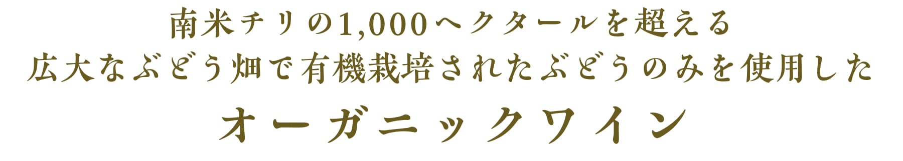 南米チリの1,000ヘクタールを超える広大なぶどう畑で有機栽培されたぶどうのみを使用したオーガニックワイン
