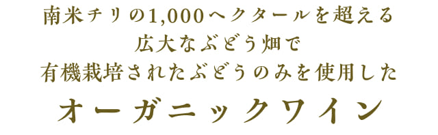 南米チリの1,000ヘクタールを超える広大なぶどう畑で有機栽培されたぶどうのみを使用したオーガニックワイン