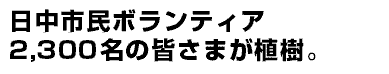 日中市民ボランティア2,300名の皆さまが植樹。