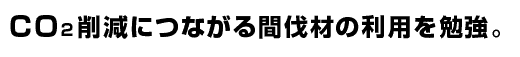 CO2削減につながる間伐材の利用を勉強。