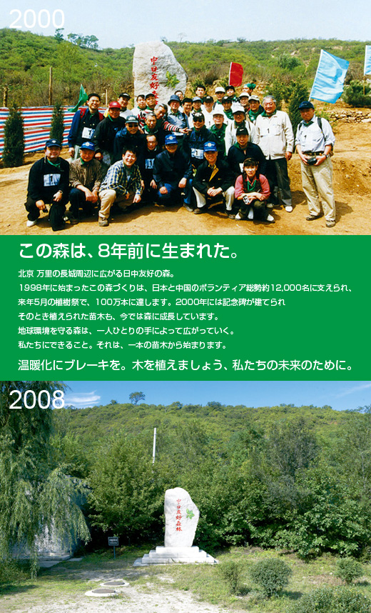 この森は、8年前に生まれた。