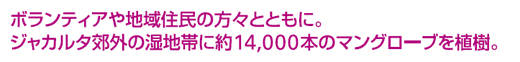 ボランティアや地域住民の方々とともに。ジャカルタ郊外の湿地帯に約14,000本のマングローブを植樹。