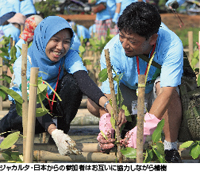 ジャカルタ・日本からの参加者はお互いに協力しながら植樹