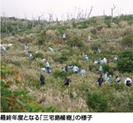 最終年度となる「三宅島植樹」の様子