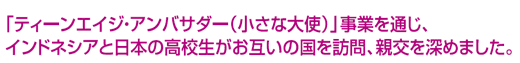 「ティーンエイジ・アンバサダー（小さな大使）」事業を通じ、インドネシアと日本の高校生がお互いの国を訪問、親交を深めました。