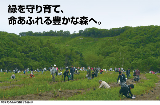 緑を守り育て、命あふれる豊かな森へ。