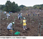 今年度が最終年となる「南島原市植樹」