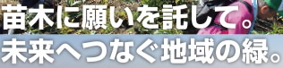 苗木に願いを託して。未来へつなぐ地域の緑。