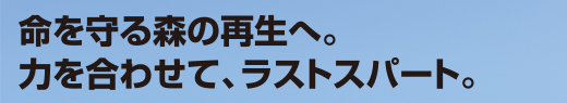 命を守る森の再生へ。力を合わせて、ラストスパート。