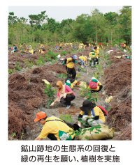 鉱山跡地の生態系の回復と緑の再生を願い、植樹を実施