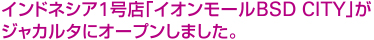 インドネシア1号店「イオンモールBSD CITY」がジャカルタにオープンしました。