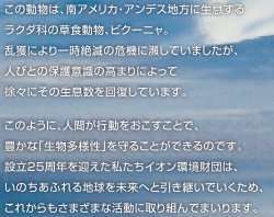 この動物は、南アメリカ・アンデス地方に生息するラクダ科の草食動物、ビクーニャ。乱獲により一時絶滅の危機に瀕していましたが、人びとの保護意識の高まりによって徐々にその生息数を回復しています。このように、人間が行動をおこすことで、豊かな「生物多様性」を守ることができるのです。設立25周年を迎えた私たちイオン環境財団は、いのちあふれる地球を未来へと引き継いでいくため、これからもさまざまな活動に取り組んでまいります。