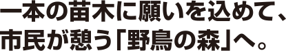 一本の苗木に願いを込めて、市民が憩う「野鳥の森」へ。