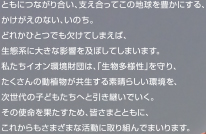 ともにつながり合い、支え合ってこの地球を豊かにする、かけがえのない、いのち。どれかひとつでも欠けてしまえば、生態系に大きな影響を及ぼしてしまいます。私たちイオン環境財団は、「生物多様性」を守り、たくさんの動植物が共生する素晴らしい環境を、次世代の子どもたちへと引き継いでいく。その使命を果たすため、皆さまとともに、これからもさまざまな活動に取り組んでまいります。