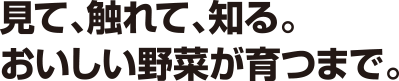 見て、触れて、知る。おいしい野菜が育つまで。