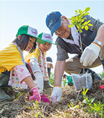 北海道南部、厚真川の上流周辺での植樹