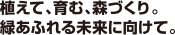 植えて、育む、森づくり。
緑あふれる未来に向けて。