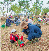 流失した防災海岸林の再生を目指し、福島県いわき市で植樹活動を行いました。