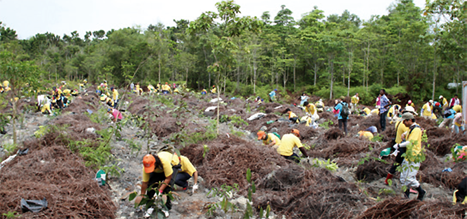 The planting of trees in Bidor Town, Malaysia