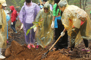 The planting of trees in Hanoi, Vietnam