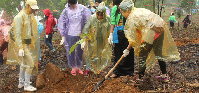 The planting of trees in Hanoi, Vietnam 