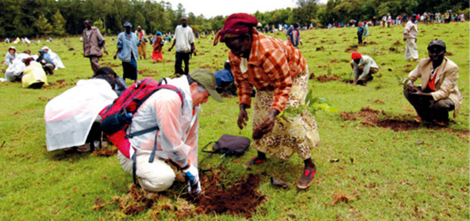 Tree-planting in Kenya