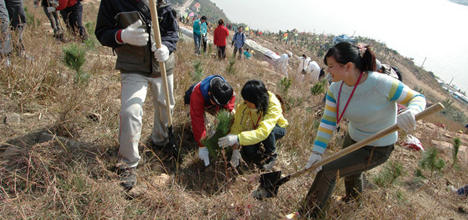 Qingdao Tree-planting