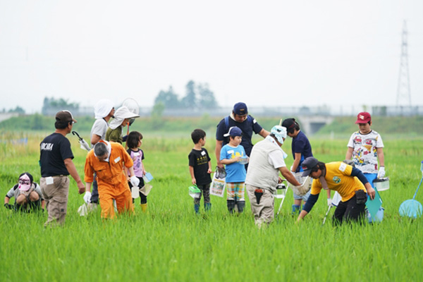 Sustainable procurement of rice in consideration of biodiversity