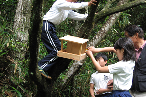学校裏山に巣箱を設置する児童