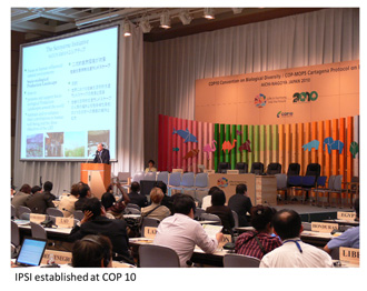 IPSI established at COP 10