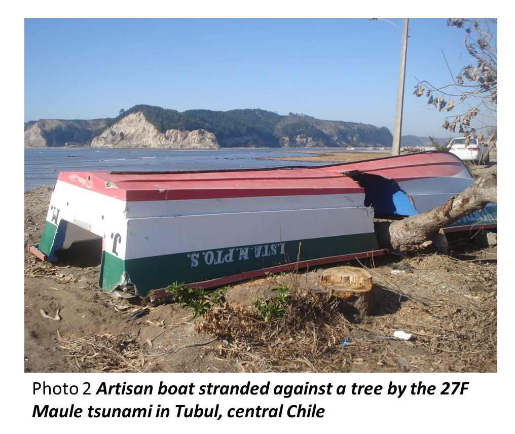 Artisan boat stranded against a tree by the 27F Maule tunami in Tubul,central Chile