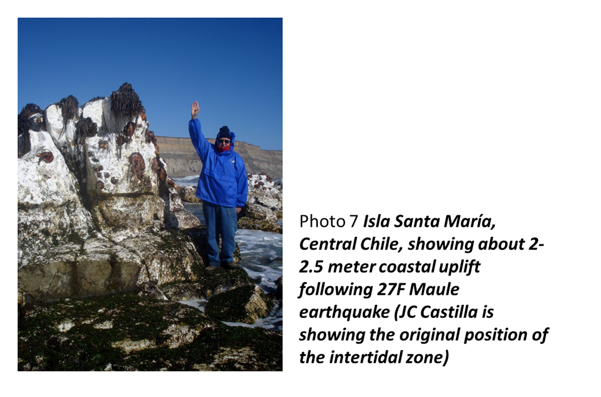 Isla Santa Maria,Central Chile, showing about 2-2.5 meter coastal uplift following 27F Maule earthquake(JC Castilla is showing the original position of the intertidal zone)