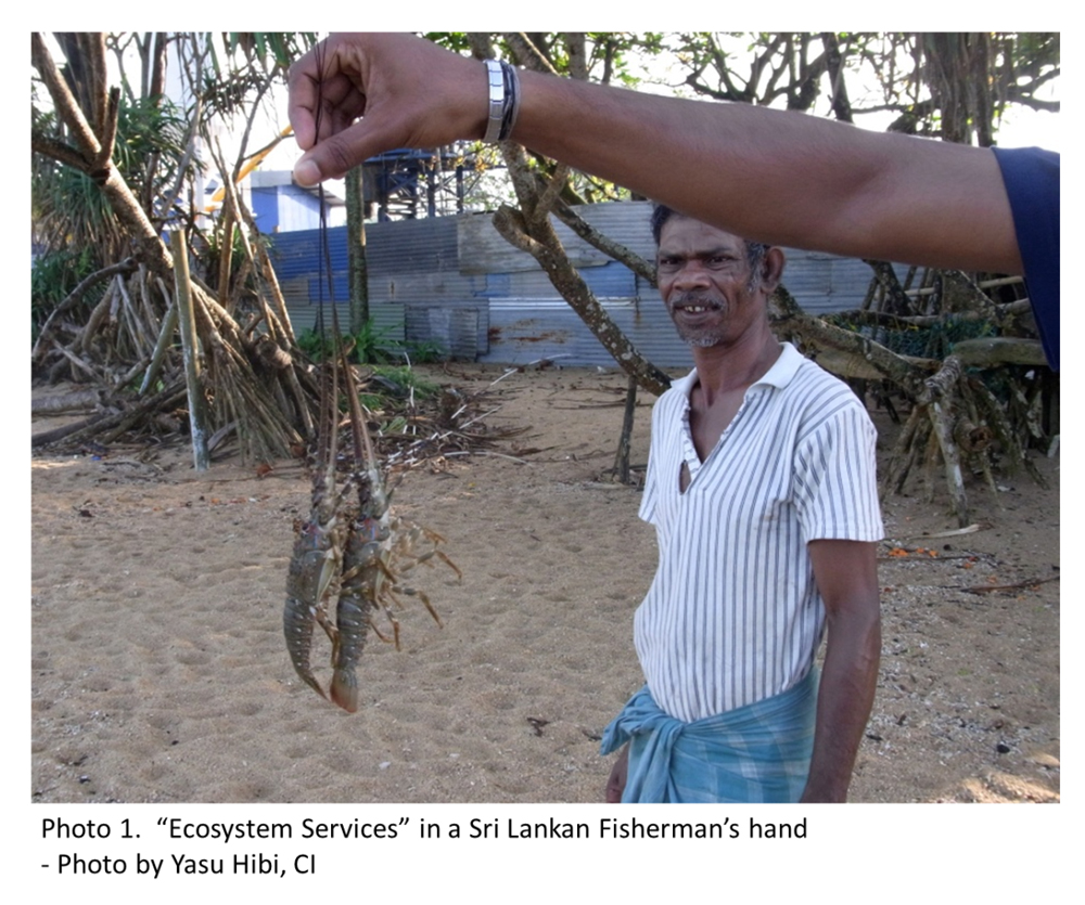 Photo1.gEcosystem Serviceshin a Sri Lankan Fishermanfs hand - Photo by Yasu Hibi, CI