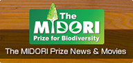 The MIDORI Prize News & Movies