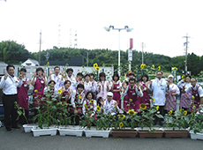 咲きそろったひまわりの前で記念写真